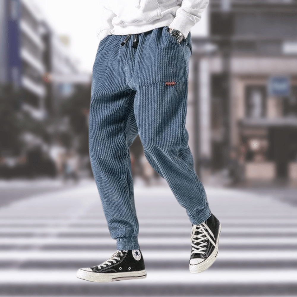 Derwin - Pantalon stylé en velours côtelé
