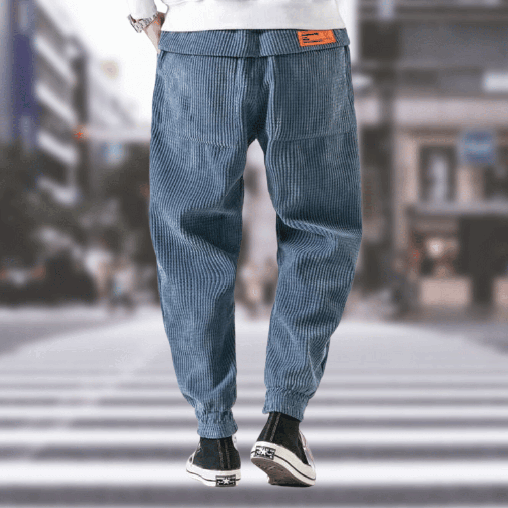 Derwin - Pantalon stylé en velours côtelé