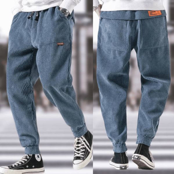 Derwin - Pantalon stylé en velours côtelé