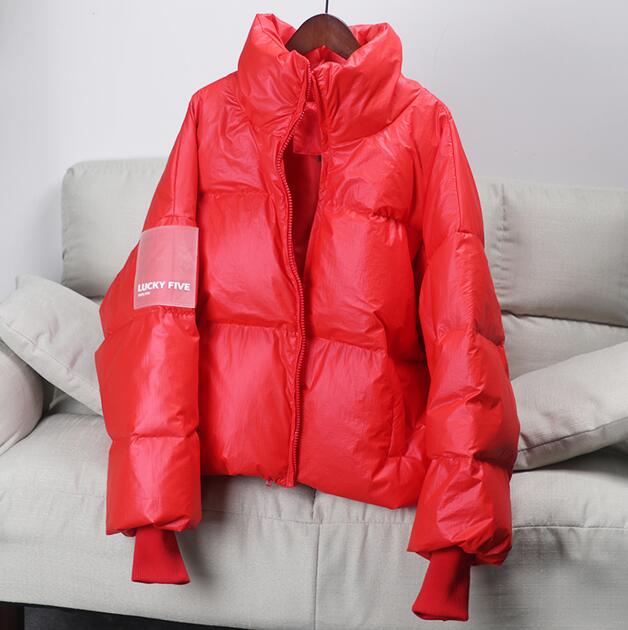 Lunaire | Doudoune Oversize avec Éclat Métallique et Isolation Exceptionnelle pour Femmes